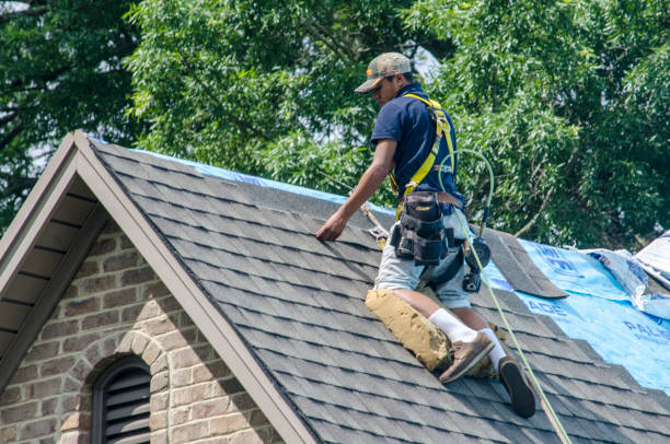 Quick and Trustworthy Emergency Roof Repair Services in Northampton, PA